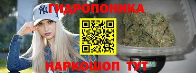 хмурый Можга
