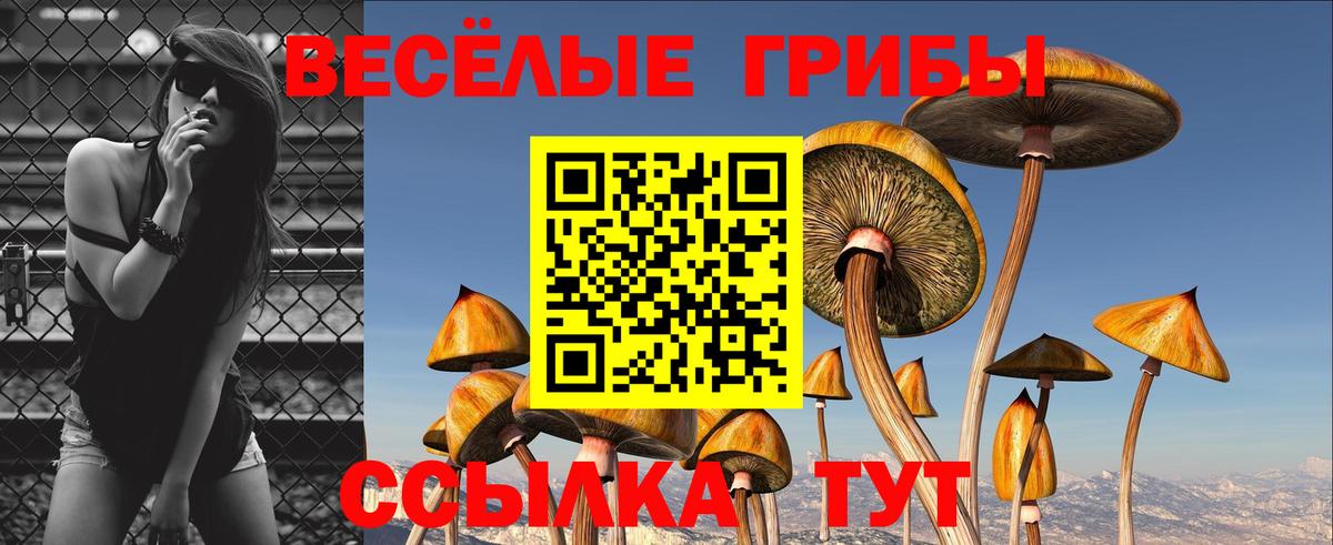 Псилоцибиновые грибы прущие грибы  Галлюциногенные грибы Magic Shrooms  Вход с VPN  Улан-Удэ 